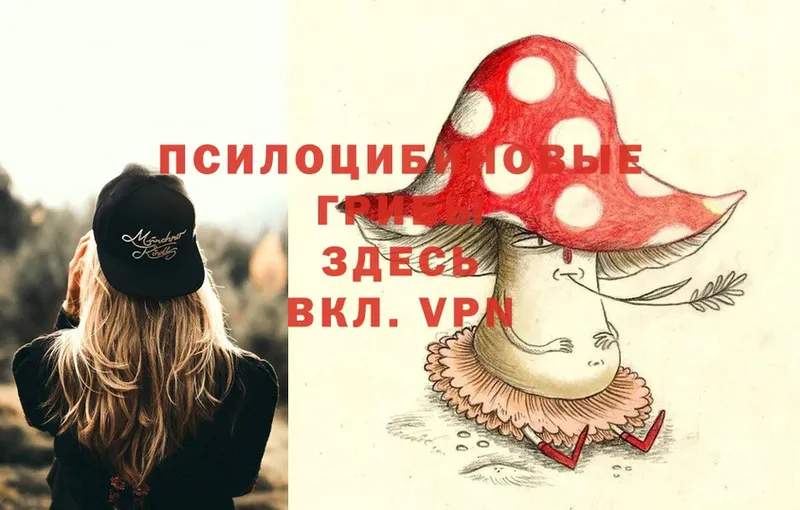 Псилоцибиновые грибы Psilocybe  shop клад  Уссурийск 